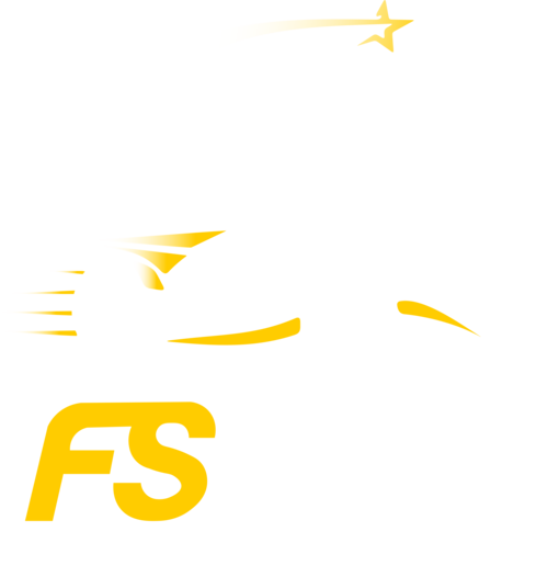 Logótipo Oficial FSUBI